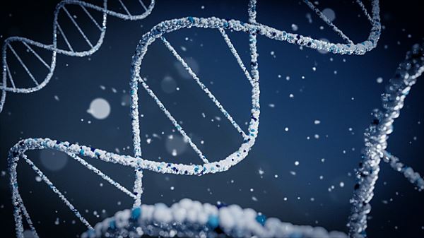 Врач-онколог рассказал, какой метод генетического анализа позволит прочитать геном человека