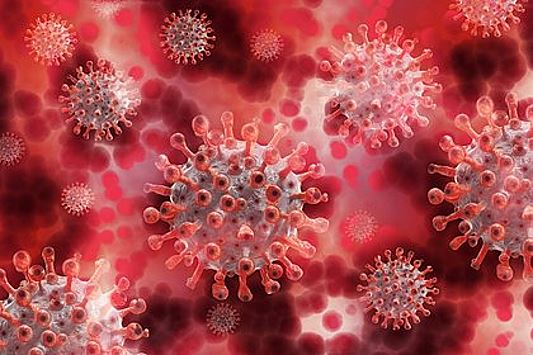 В России оценили рост заболеваемости коронавирусом