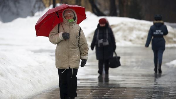 Москвичам пообещали потепление до +3 градусов до конца недели<br />
