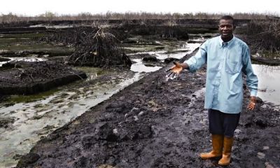 Shell выплатит €15 млн компенсации за разливы нефти в Нигерии — новости экологии на ECOportal