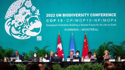 В Монреале подписано историческое мировое соглашение по биоразнообразию — новости экологии на ECOportal