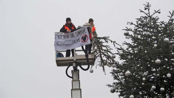 Экоактивисты срезали верхушку главной рождественской ели Берлина