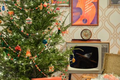 Елка, сосна и пихта: в чем разница и как выбрать новогоднее дерево? - новости экологии на ECOportal