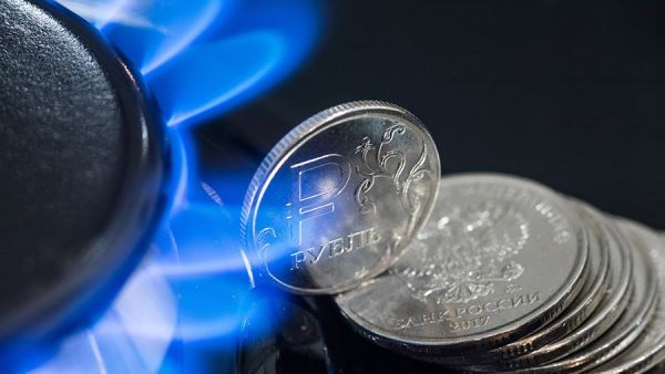 В ГД заявили о нарушении рыночных принципов после введения потолка цен на газ